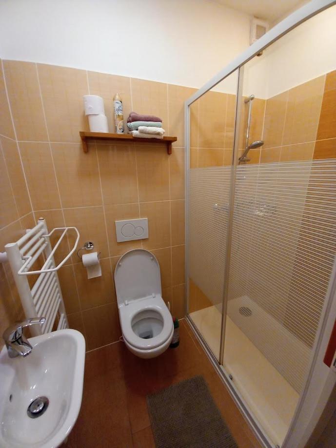 Ubytování Sedlařík Mladé Buky Exterior foto